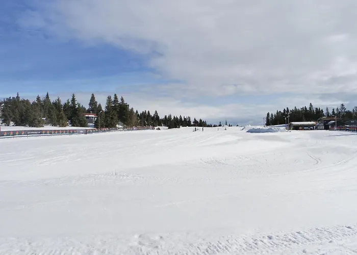 Pihl 185 * Sjusjoen